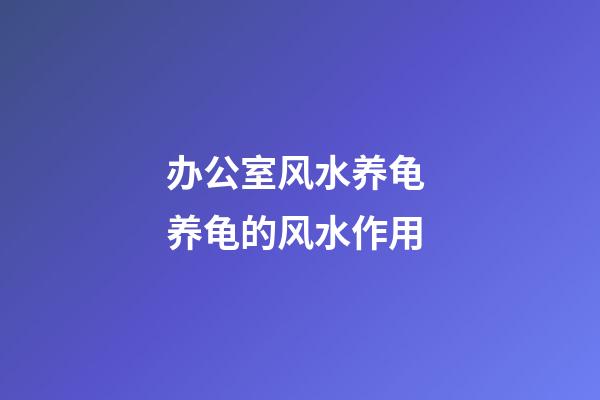 办公室风水养龟 养龟的风水作用